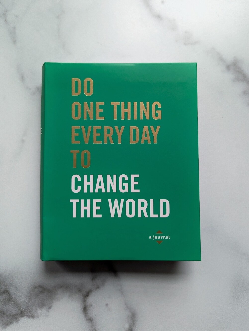 Do One Thing Every Day to Change the World: A Journal